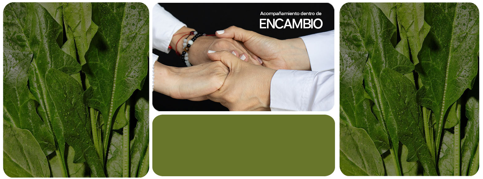 Personaliza tu Programa EnCambio