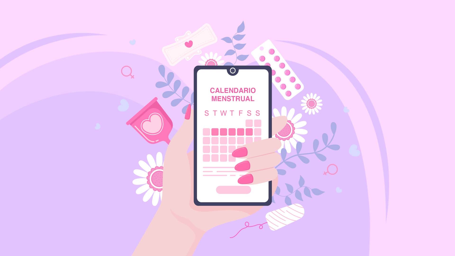 Conociendo mi ciclo menstrual