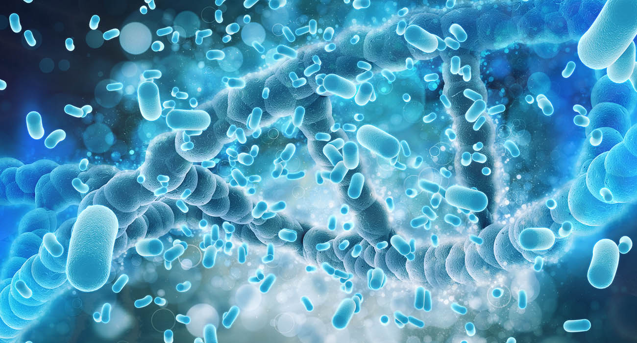 El papel de tu microbiota intestinal a lo largo de la vida