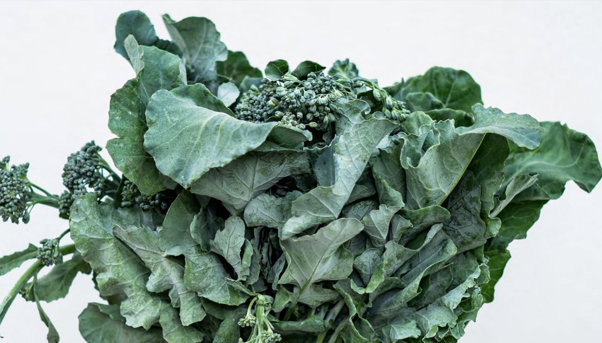 Hormonas en equilibrio: cómo los fitonutrientes transforman la salud femenina