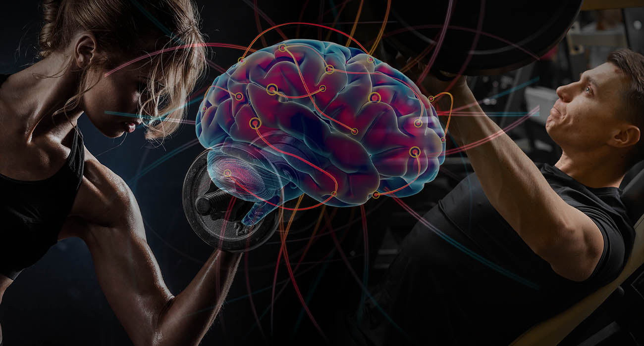 ¿Porqué el ejercicio es bueno para el cerebro?