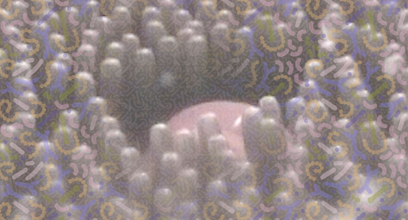 Qué es la microbiota intestinal