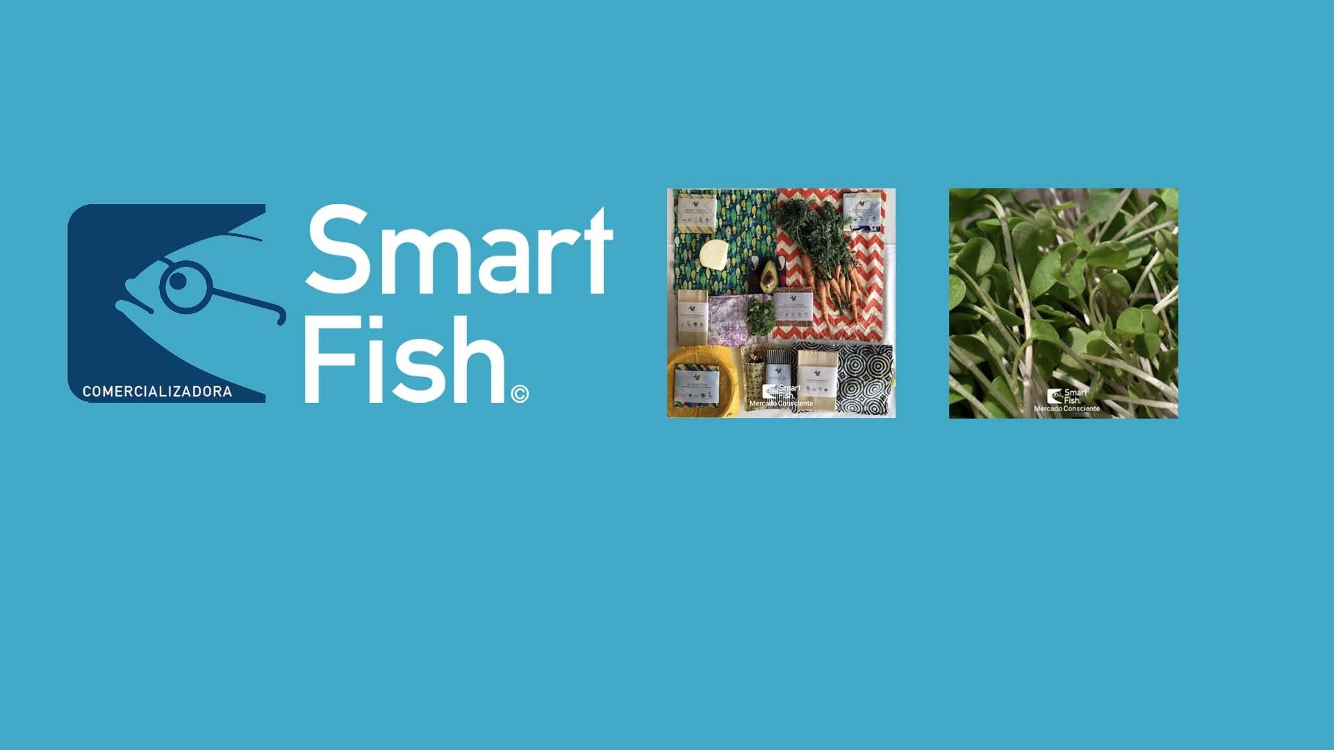Smart Fish