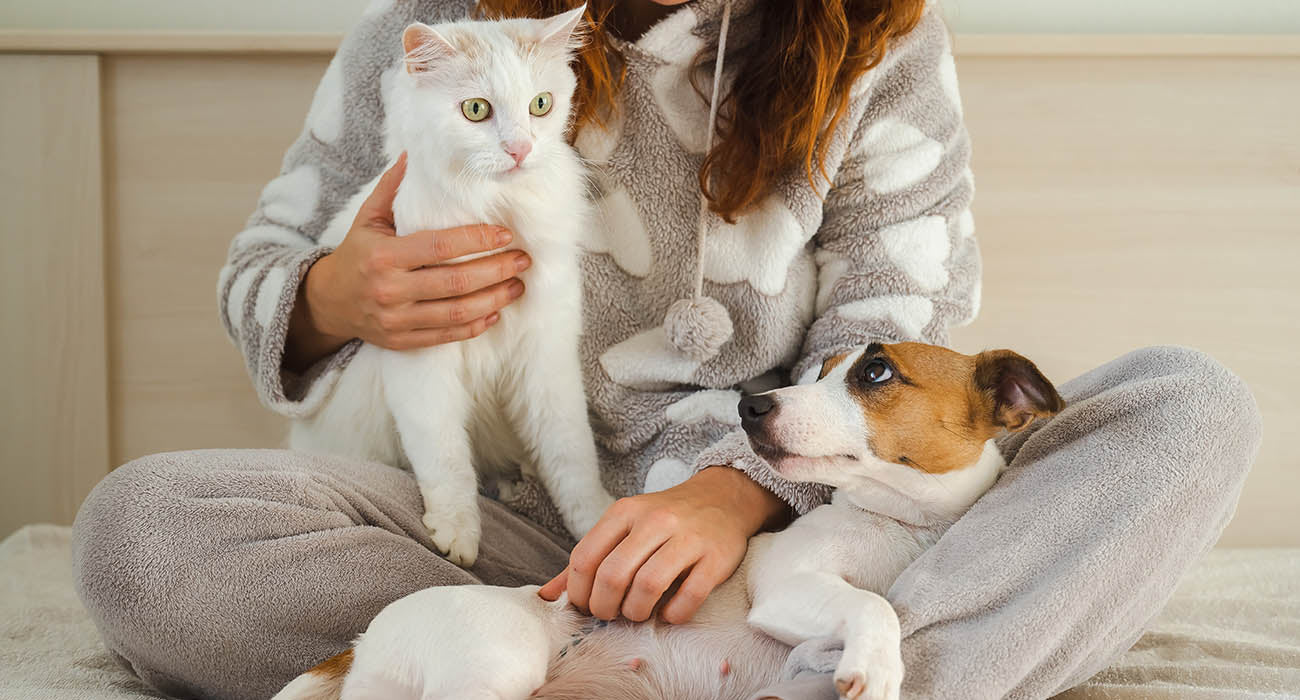 Beneficios de tener una mascota