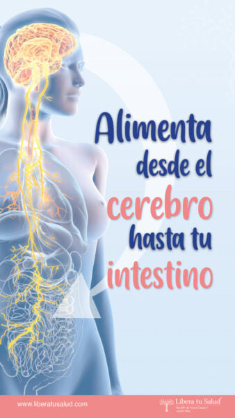 Alimenta desde el cerebro hasta tu intestino