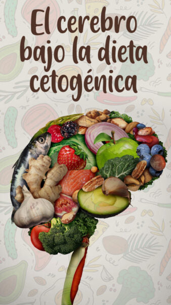 El cerebro bajo la dieta cetogénica