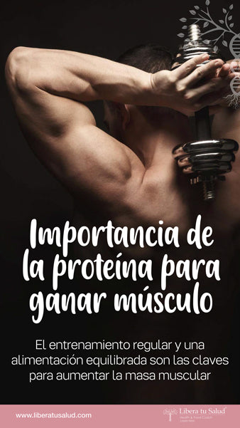 La importancia de la proteína para ganar músculo