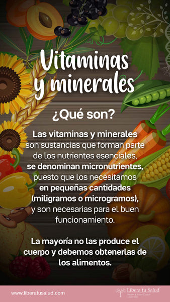 Vitaminas y Minerales ¿qué son?