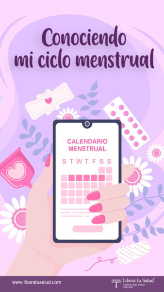 Conociendo mi ciclo menstrual