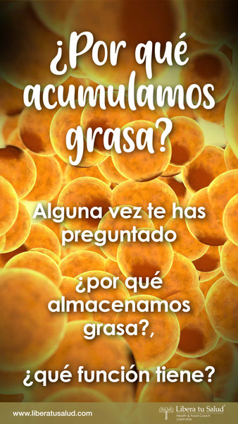 ¿Por qué acumulamos grasa?