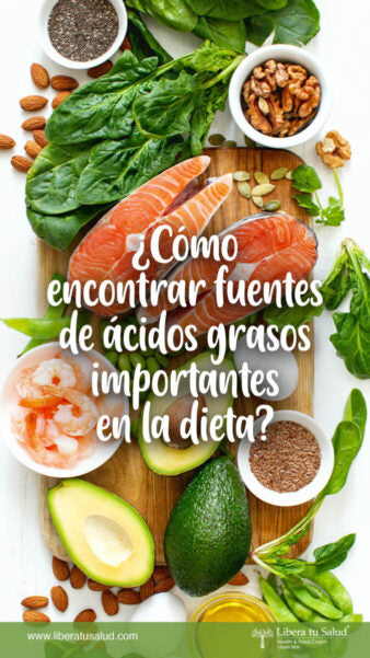 ¿Cómo encontrar fuentes de ácidos grasos importantes en la dieta?