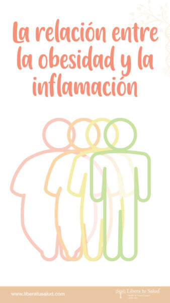 La relación entre la obesidad y la inflamación