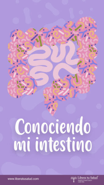 Conociendo mi intestino