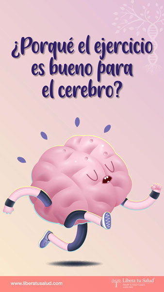 ¿Porqué el ejercicio es bueno para el cerebro?