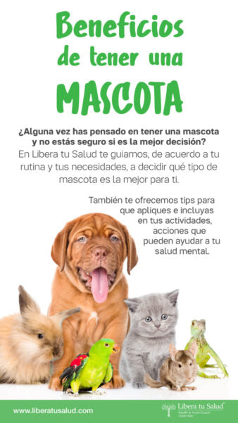 Beneficios de tener una mascota